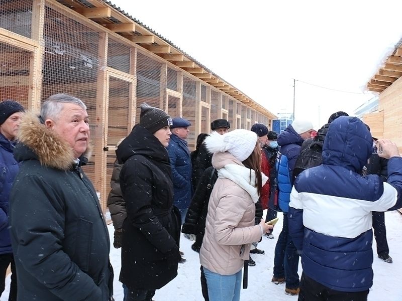 Объект для временного содержания бездомных животных начал свою работу