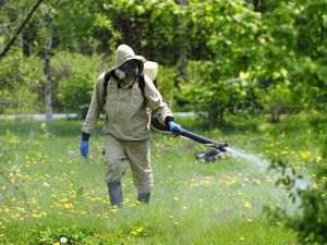 Началась обработка от мошек и комаров