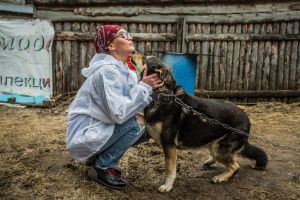 В регионе принят порядок деятельности приютов для животных