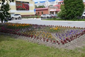 На мегионских улицах высадили цветы