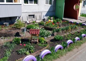 Придомовая территория. Вопросы и ответы