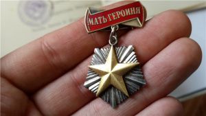 Принимаются заявки на соискание общественной премии «Мать-героиня»