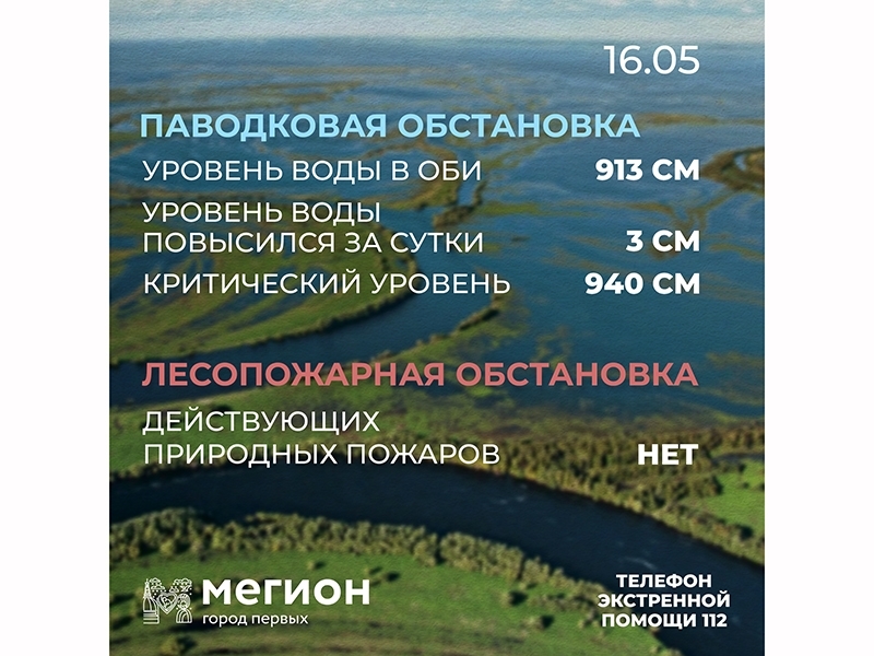 Лесопожарная и паводковая обстановка в Мегионе на 16 мая