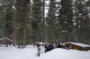 Подберите экологический маршрут
