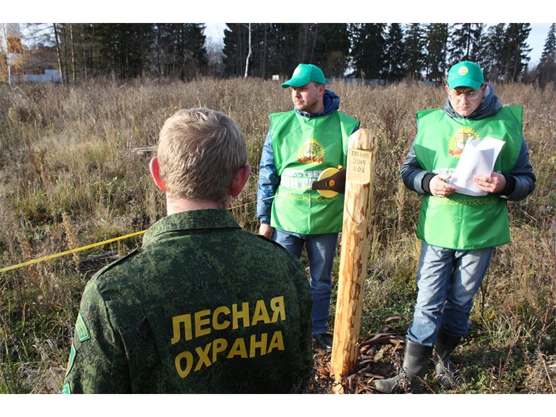 Восстановлением леса в Югре займутся фитопатологи