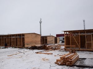 Когда будет готов пункт передержки для бездомных животных?