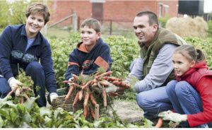 Правительство увеличило размер выплат по социальному контракту