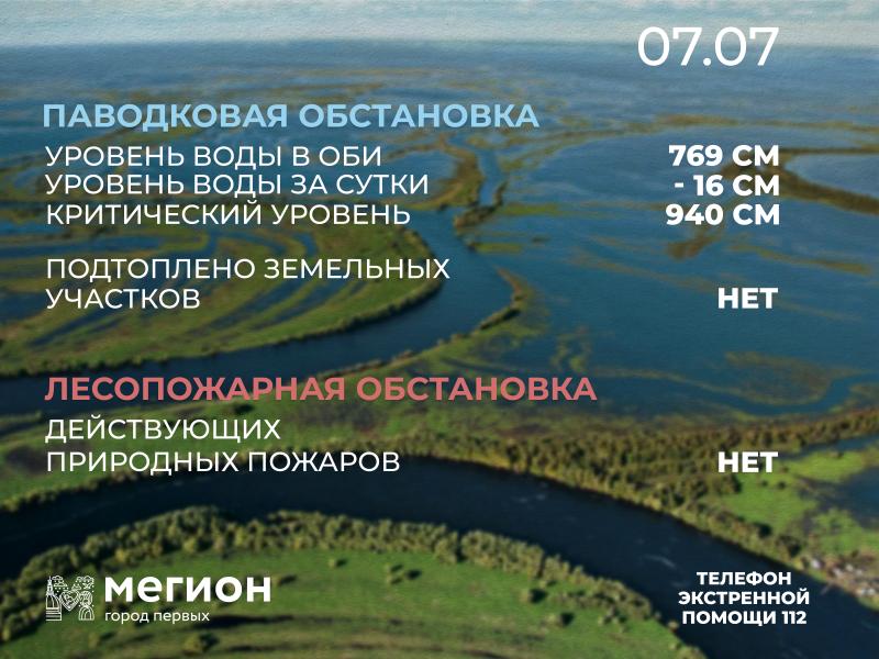 Лесопожарная и паводковая обстановка в Мегионе на 7 июля