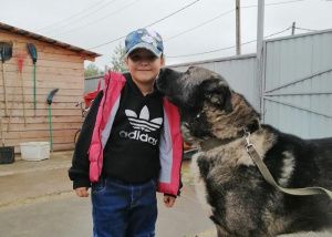 О людях, собаках и гуманности