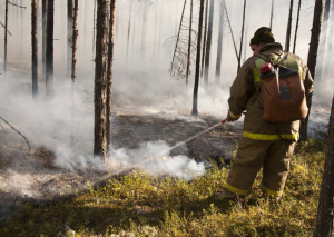 В Югре тушат 11 лесных пожаров