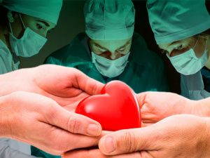 Югра шагнула вперёд в трансплантологии