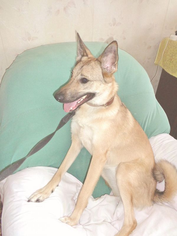 Будьте в курсе! О животных