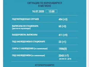 Информация о ситуации в Мегионе с заболеваемостью коронавирусом на 16 июля