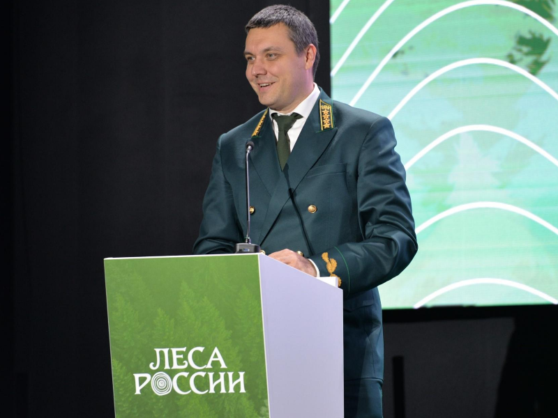 Югра вошла в топ регионов с высоким рейтингом эффективности ведения лесного хозяйства