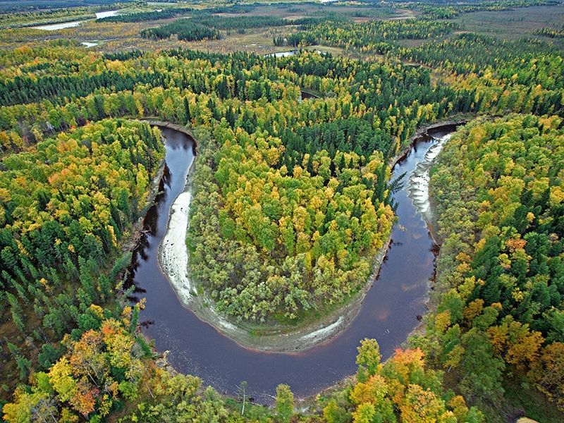 Конституция РФ: экологическая культура и сохранение природы
