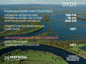 Лесопожарная и паводковая обстановка в Мегионе на 7 июля