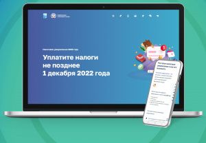 Имущественные налоги необходимо оплатить не позднее 1 декабря