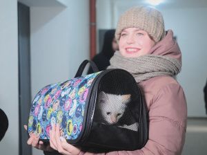 Про дом, новосёлов и котёнка по имени Итэр