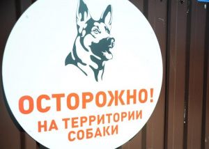 Собачий приют будет модернизирован