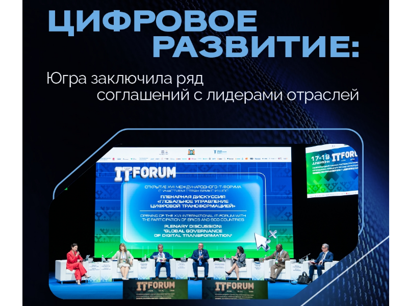 Контроль над беспилотниками, подготовка кадров в IT, создание центров обработки и цифровизация организаций