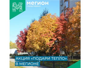 В преддверии Дня пожилых людей местное отделение Движения Первых запускает акцию "Подари тепло"