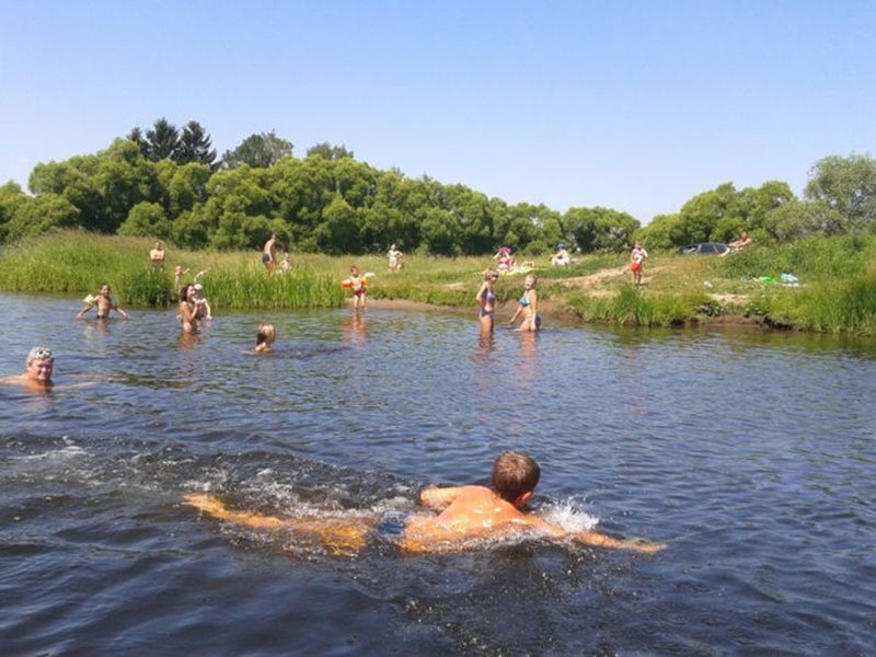 Чтобы не случилось беды: правила безопасного поведения на воде