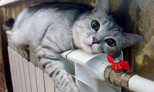 Разъясняет «Тепловодоканал»: из чего складывается сумма в платежках?