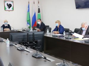 Заседание Думы первый раз прошло в дистанционной форме