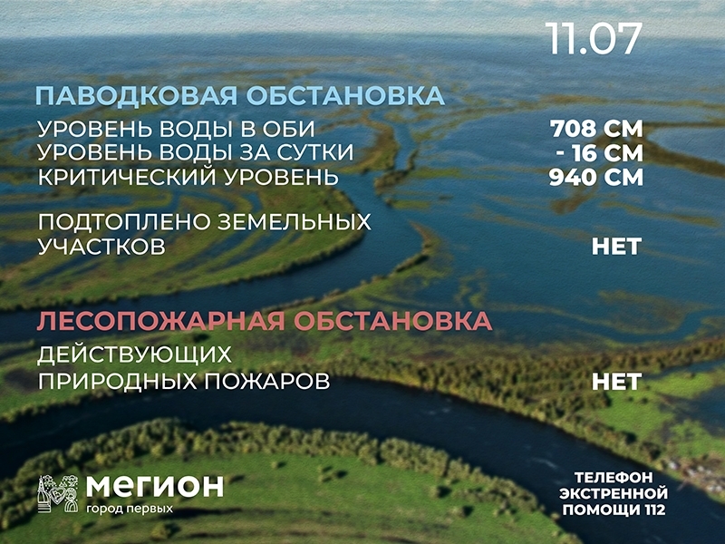 Лесопожарная и паводковая обстановка в Мегионе на 11 июля