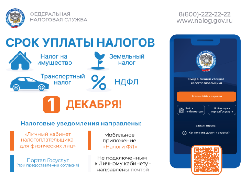 Исполнить налоговые обязательства югорчанам необходимо не позднее 1 декабря 2025 года