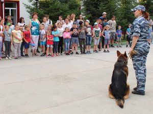 Мегионские полицейские кинологи познакомили детей с работой служебных собак и напомнили об основных правилах безопасности 