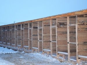 Объект по содержанию животных планируется к запуску 25 февраля